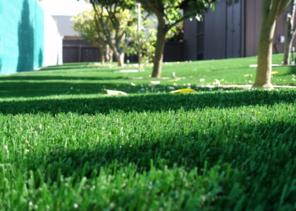 Home Artificial Turf Installation